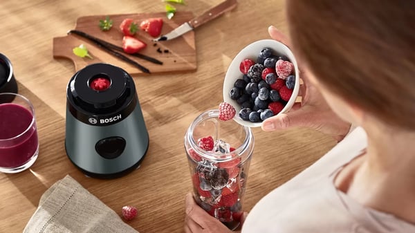 Bosch VitaPower MMB2111S mixer 0,6 l Bänkmixer 450 W Silver
