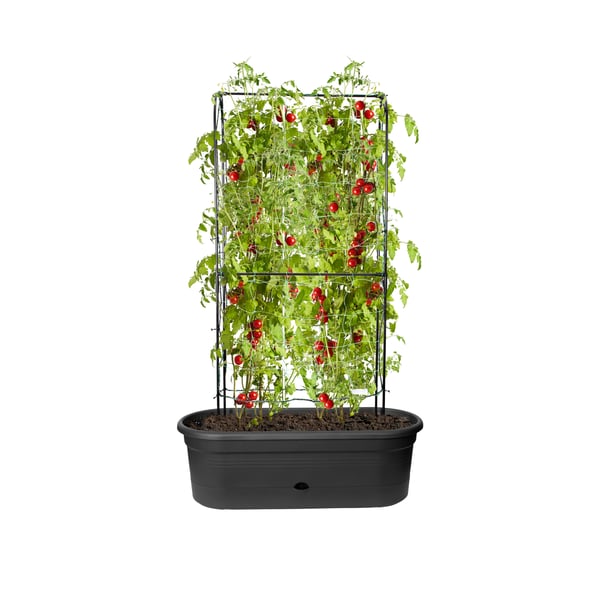 elho 8711904350307 plantekasse Udendørs Metal, Plast Sort