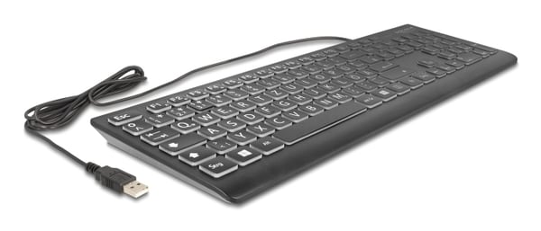 DeLOCK 12170 näppäimistö Universaali USB QWERTZ Saksa Musta