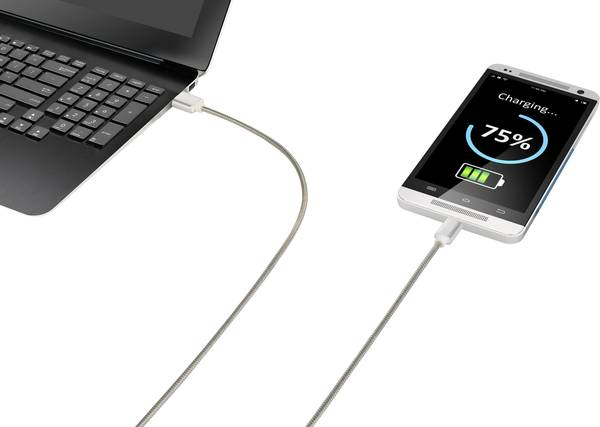 Miniatyrbillede 6 af 6: Renkforce RF-4888671 USB-kabel USB 2.0 1 m USB A USB C 0,48 Gbit/sek. Rustfrit stål
