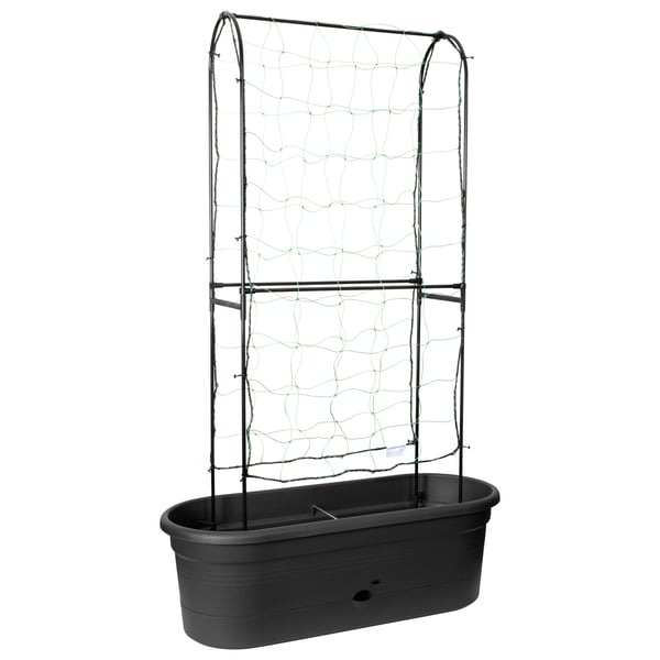 Miniatyrbillede 1 af 16: elho 8711904350307 plantekasse Udendørs Metal, Plast Sort