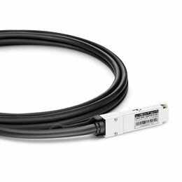 Lightwin Optics LWO-DAC-QSFP28-1M InfiniBand og fiberoptisk kabel Sort