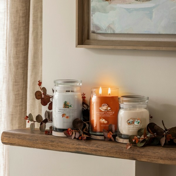 Miniatyrbillede 3 af 3: Yankee Candle 1759274E vokslys Rund Ravfarvet, Bergamot, Kokosnød, Jasmin, Mos, Orange, Pære, Sandeltræ, Vanilie Hvid 1 stk
