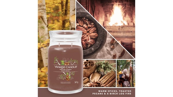 Yankee Candle Signature vahakynttilä Sylinteri Koivupuu Ruskea 1 kpl