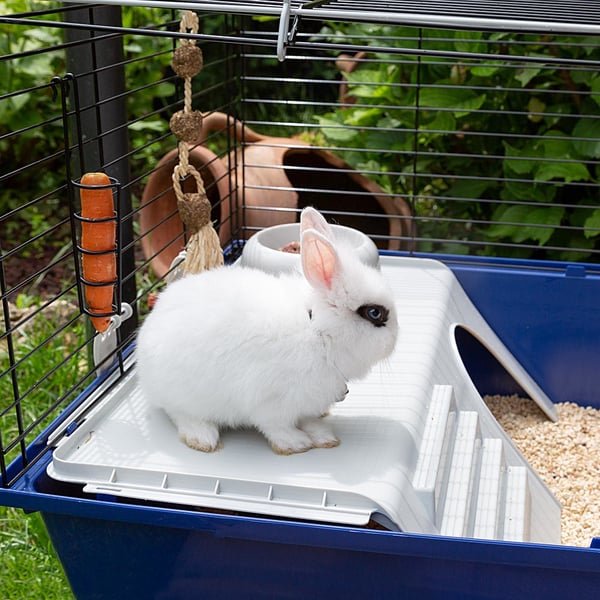 Miniatyrbillede 2 af 11: Ferplast Rabbit 120 Kanin Blå