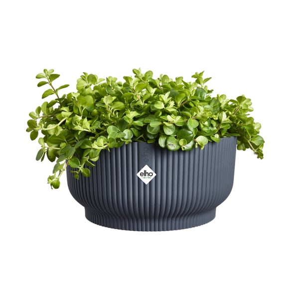 Miniatyrbillede 3 af 5: elho Vibes Fold Bowl 25 Sort Plast 1 stk