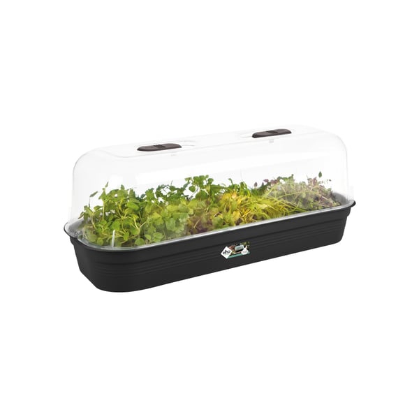 Pikkukuva 3 / 5: elho green basics grow tray L Ruukun alunen