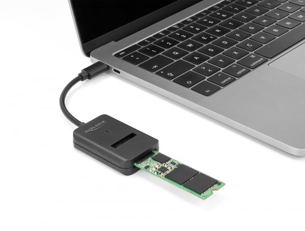 Delock - interfaceadapter - M.2 Card (