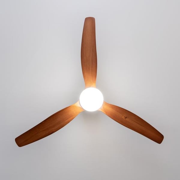 Miniatyrbillede 4 af 9: Cecotec EnergySilence Aero 5600 Classic Guld, Træ
