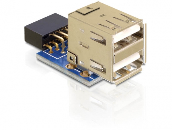 Miniatyrbillede 1 af 3: DeLOCK 1 x 9-pin 2.54 mm/2 x USB 2.0-A Sort, Blå, Sølv