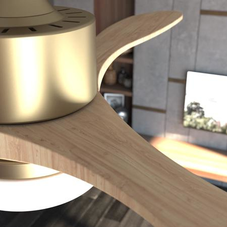 Cecotec 05983 hushållsfläkt Guld