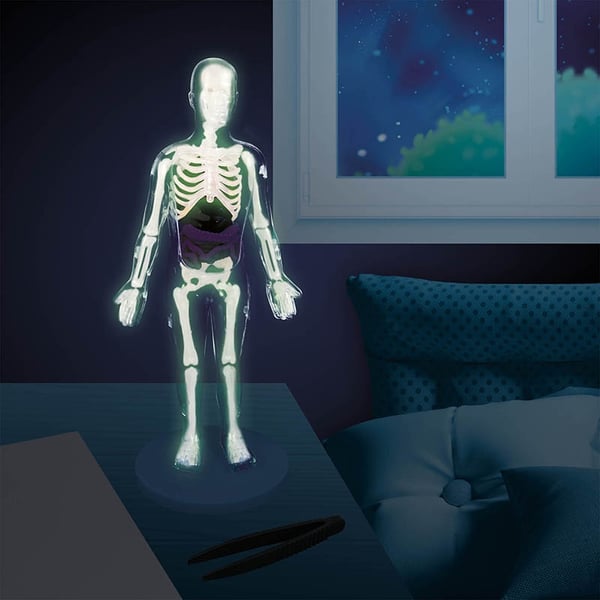 Buki Human Body
