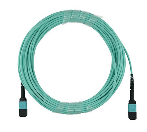 Miniatyrbillede 1 af 7: BlueOptics QSRCABLE1M InfiniBand og fiberoptisk kabel 1 m MPO Turkisfarve