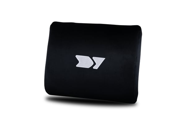 DRIFT DR220 PC gamingstol Polstret sæde Sort, Hvid