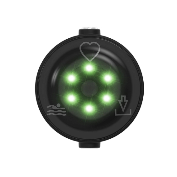 Miniatyrbild 7 av 10: Polar Verity Sense hjärtfrekvensmätare Handled Bluetooth/ANT+ Svart