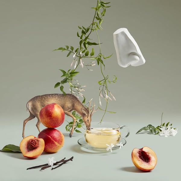 Pikkukuva 2 / 3: Penhaligon's Artemisia 100 ml Naisten