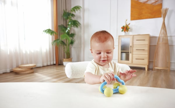 Hape Rattle & Roll toy car