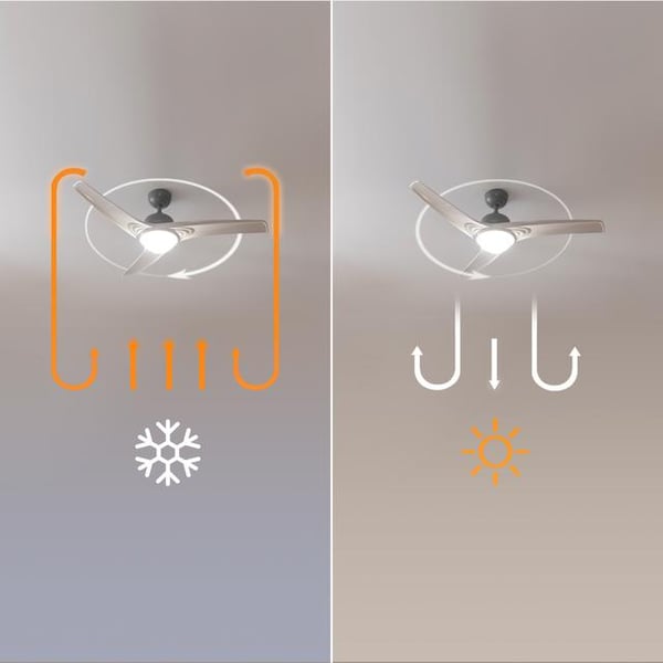 Cecotec EnergySilence Aero 560 IronWhite Jern, Hvid