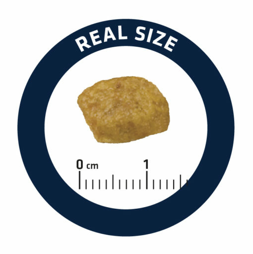 Miniatyrbillede 2 af 2: Advance Pet RENAL FAILURE tørfoder til kat 1,5 kg Voksen