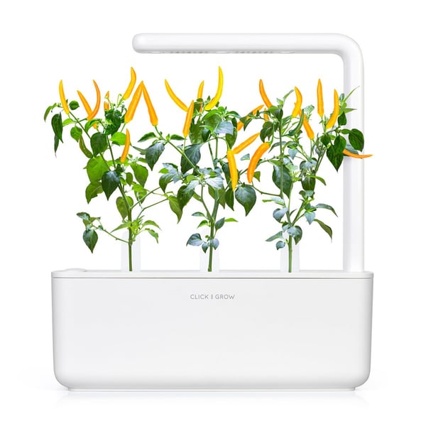 Click & Grow SGR60x3 3 styck Chilipeppar Påfyllning