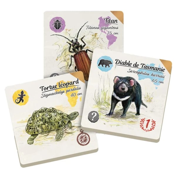 Miniatyrbillede 2 af 5: Gigamic Sur les Traces de Darwin - Correspondances 30 min. Brætspil