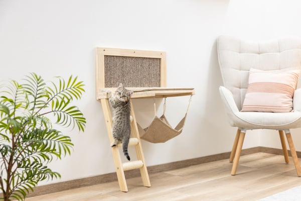 Miniatyrbild 5 av 11: Kerbl 86222 Bädd för hund och katt Hammock pet bed
