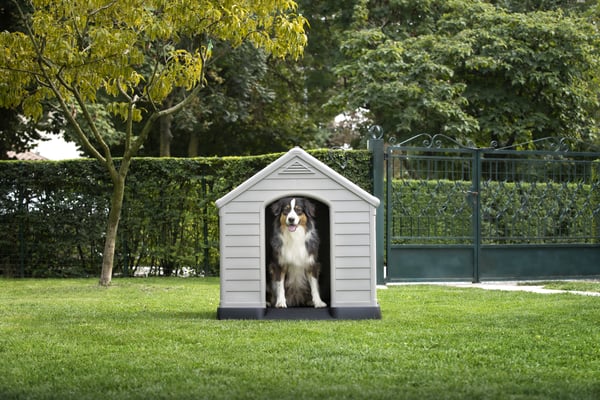 Curver 17360369 hundehus