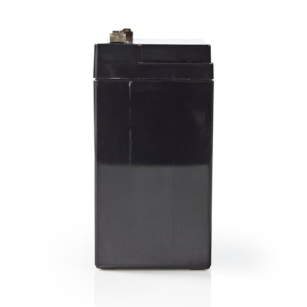Nedis BALA100006V UPS-akku Sealed Lead Acid (VRLA) 6 V 10000 ah