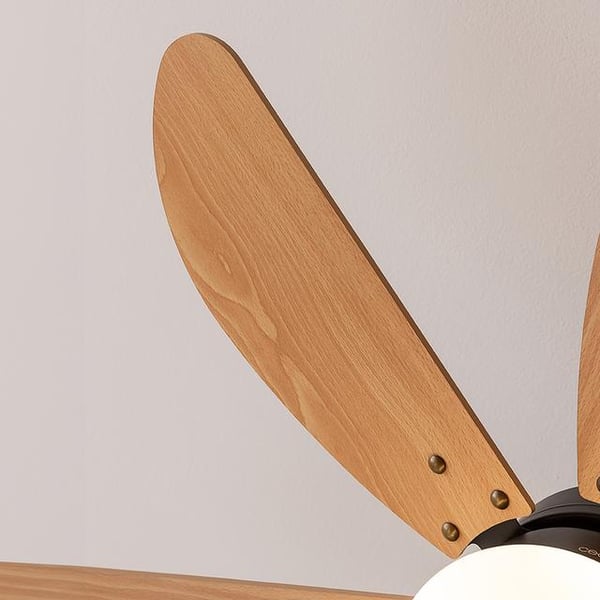 Miniatyrbillede 7 af 7: Cecotec EnergySilence Aero 360 Black&Wood Sort, Træ