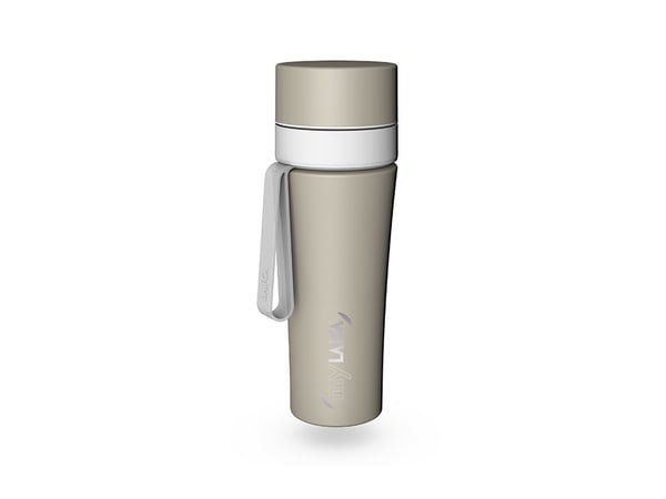 Laica BR70C01 vattenfilter Vattenfilterflaska 0,55 l Grå