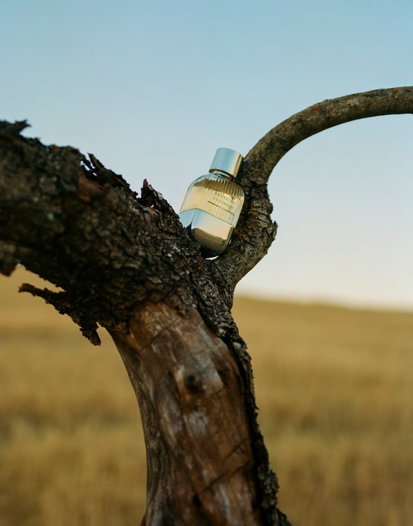 Brunello Cucinelli Pour Homme 100 ml Män