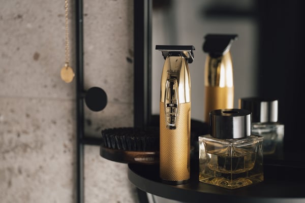Adler AD 2836G skæg trimmer Batteri 4 6 mm Guld