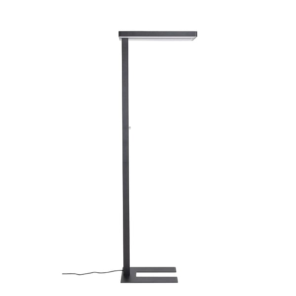 Miniatyrbillede 4 af 8: MAUL 8258690 gulvbelysning LED C