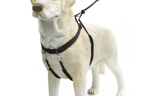 Beeztees 749761 S Sort Nylon Hund Seletøj uden træk