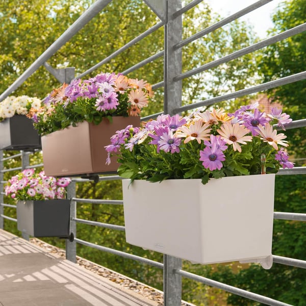 Pikkukuva 3 / 11: LECHUZA Balconera Color 80 Sisä- ja ulkotila Istutuslaatikko Hanging Polypropeeni (PP) Valkoinen