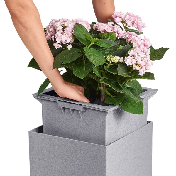 LECHUZA Canto Stone 40 low Sisä- ja ulkotila Istutuslaatikko Vapaasti seisova Polypropeeni (PP) Harmaa