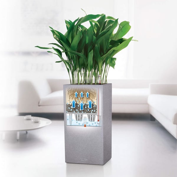 Miniatyrbillede 9 af 11: LECHUZA Canto Stone 40 high Indendørs/udendørs Boks potteplante Fritstående Polypropylen (PP) Sort, Grafit