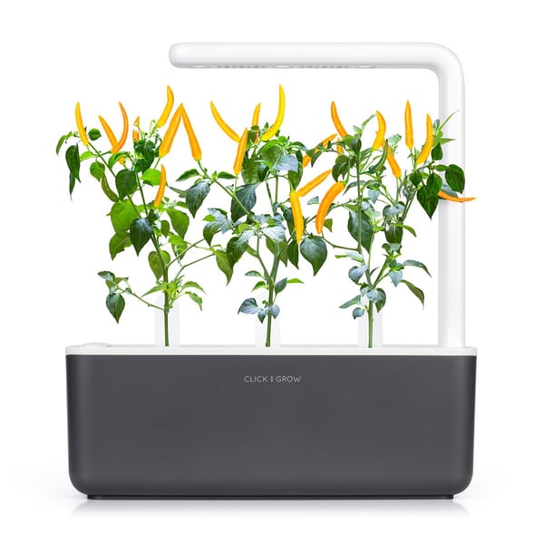Miniatyrbillede 2 af 5: Click & Grow SGR60x3 3 stk Chili peber Genopfyldning