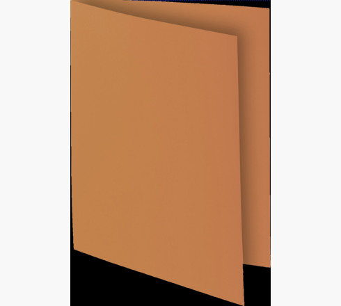 Exacompta 800014E kansio Kartonki A4