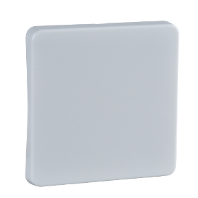 Schneider Electric 213604 elektrisk skift tilbehør Nøgle