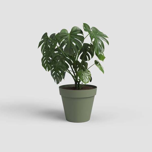 Artevasi Capri Pot Vihreä 12 kpl
