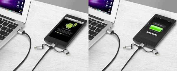 Miniatyrbillede 3 af 5: Renkforce RF-3335106 USB-kabel USB 2.0 0,25 m USB A USB C/Micro-USB B/Lightning 0,48 Gbit/sek. Grå