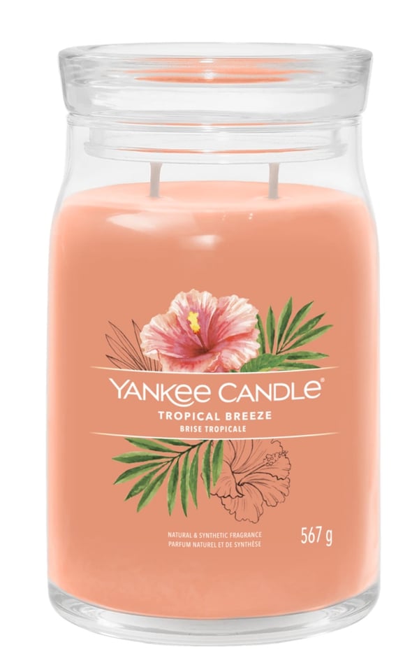 Pikkukuva 1 / 3: Yankee Candle Tropical Breeze vahakynttilä Sylinteri Guava, Minttu Oranssi 1 kpl