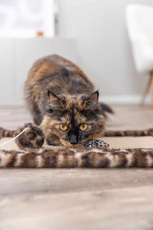TRIXIE 48171 del och tillbehör till klösmöbel för katter Platta
