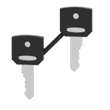 Schneider Electric ZBG421E elektriska switchtillbehör nyckel