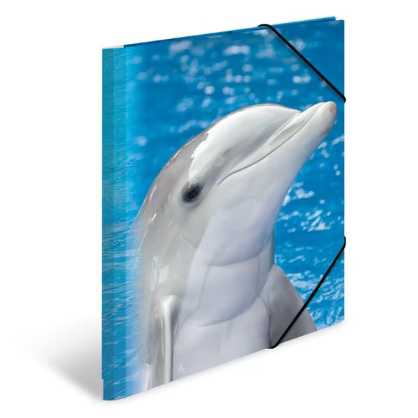 HERMA 7141 folder Polypropylen (PP) Flerfarvet A4