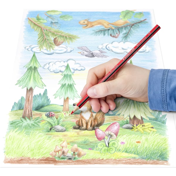 Miniatyrbillede 9 af 9: Staedtler 187 Sort, Blå, Brun, Grøn, Lyse Blå, Lysegrøn, Mauve, Orange, Fersken, Rød, Gul 12 stk