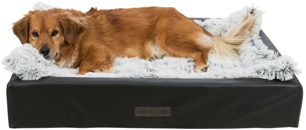 TRIXIE 38048 hunde- og katteseng Bolster kæledyrseng