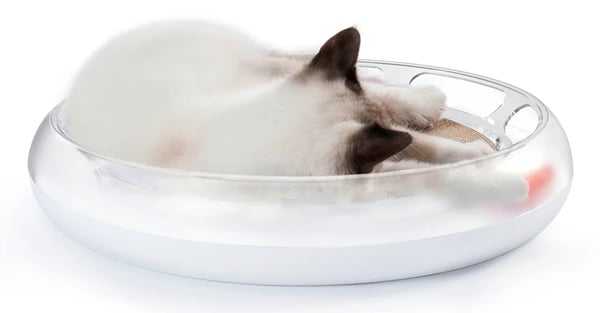 PETKIT PN102211 katte kradsebræt Kradsemåtte til kat