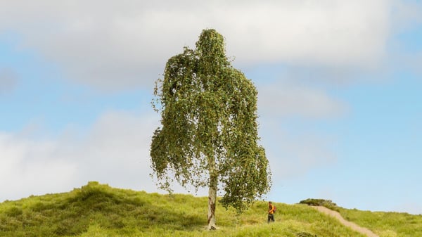 Miniatyrbillede 2 af 2: NOCH 20120 skalamodell dele og tilbehør Træ